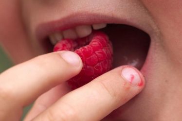 Le goût, un sens complexe – Sciences et Avenir › Geeky News - 4