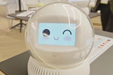 Leka, un robot au service des enfants et des éducateurs – Sciences et Avenir › Geeky News - 10