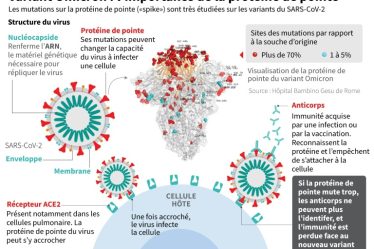 le point sur la pandémie dans le monde – Sciences et Avenir › Geeky News - 9