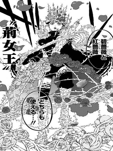 Black Clover Classements des capitaines | Spade Kingdom Raid Arc 2022 6 Black Clover