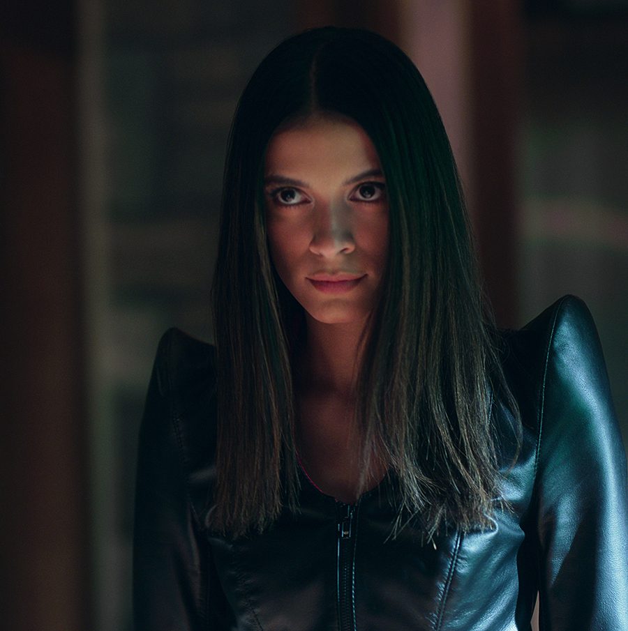 'Locke & Key' Saison 3 Netflix: Tout ce que nous savons jusqu'à présent 4 LockeKey saison 3 doge