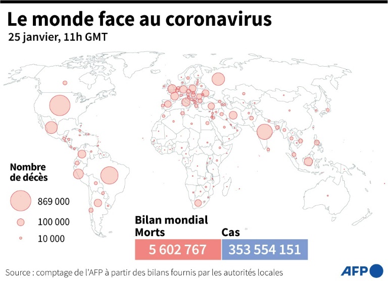 Le monde face au coronavirus (AFP - Simon MALFATTO)
