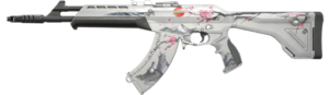Tous les skins d'armes dans VALORANT 436 Tous les skins d'armes dans VALORANT - 435