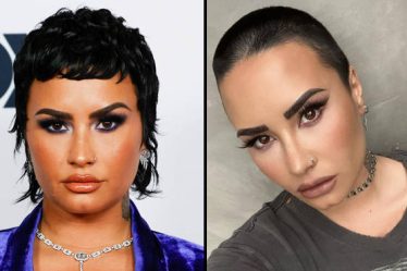 Demi Lovato met fin à sa carrière pop et revient au rock - 8