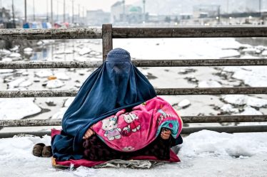 Au Canada, les réfugiés afghans vivent entre déracinement et espoir › Geeky News - 7