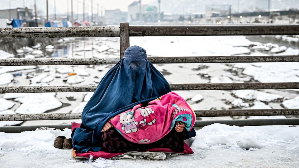 Au Canada, les réfugiés afghans vivent entre déracinement et espoir › Geeky News 2 Au Canada, les réfugiés afghans vivent entre déracinement et espoir › Geeky News - 1