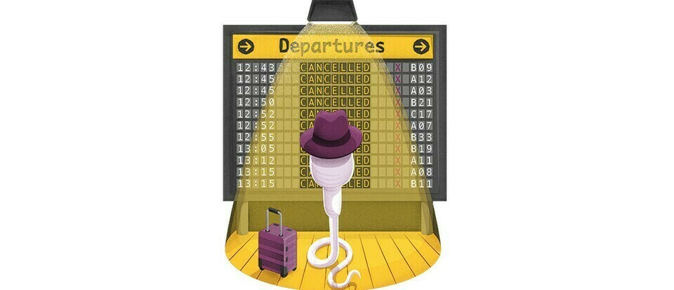 Qu'arrive-t-il à mon sperme après une vasectomie? 2 Qu'arrive-t-il à mon sperme après une vasectomie? - 1