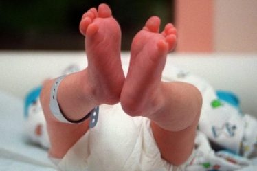 les vaccins ont-ils un impact sur la fertilité ? – Sciences et Avenir › Actualités Geek - 32