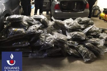 112 kg of herbal cannabis saisis in Haute-Ariège – La Gazette Ariégeoise › Geeky News - 5