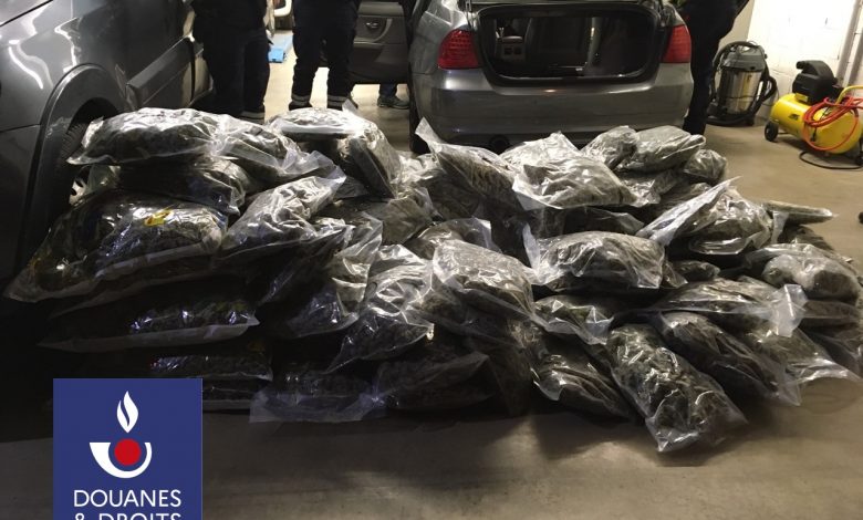 112 kg of herbal cannabis saisis in Haute-Ariège – La Gazette Ariégeoise › Geeky News 2 112 kg of herbal cannabis saisis in Haute-Ariège – La Gazette Ariégeoise › Geeky News - 1