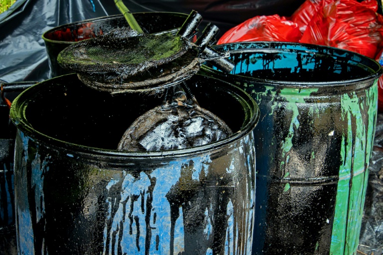 Les barils contenant les résidus pétroliers retirés de la rivière Coca déposés dans le village de Puerto Maderos en Équateur, le 1er février 2022 (AFP - Cristina Vega RHOR)