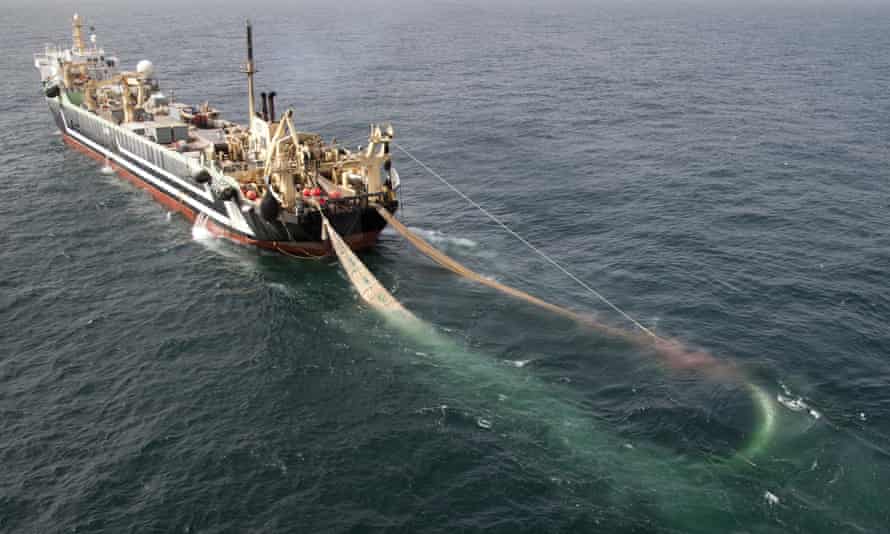 Choc en France après qu'un chalutier géant ait rejeté 100 000 poissons morts au large des côtes | Pêche 2 FV Margiris