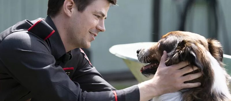 Ce qui arrive sur Netflix en mars 2022 26 sauvé par ruby bannière netflix