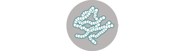Étape-8 Étape-8