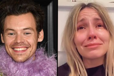 Un fan de Harry Styles "dévasté" après avoir dépensé 20 000 $ en billets de tournée avant le concert... - 11