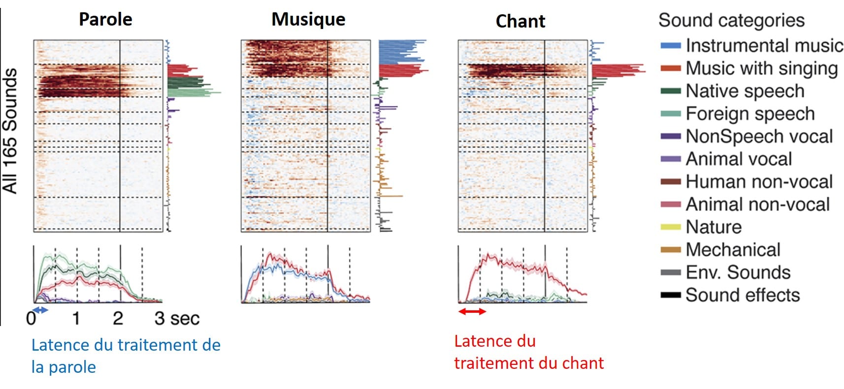 Des scientifiques ont découvert des neurons réagissant spécifiquement au chant › Geeky News 2 Des scientifiques ont découvert des neurons réagissant spécifiquement au chant › Geeky News - 1