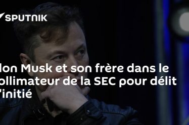 Elon Musk et son frère dans le collimateur de la SEC pour délit d’initié › Geeky News - 32