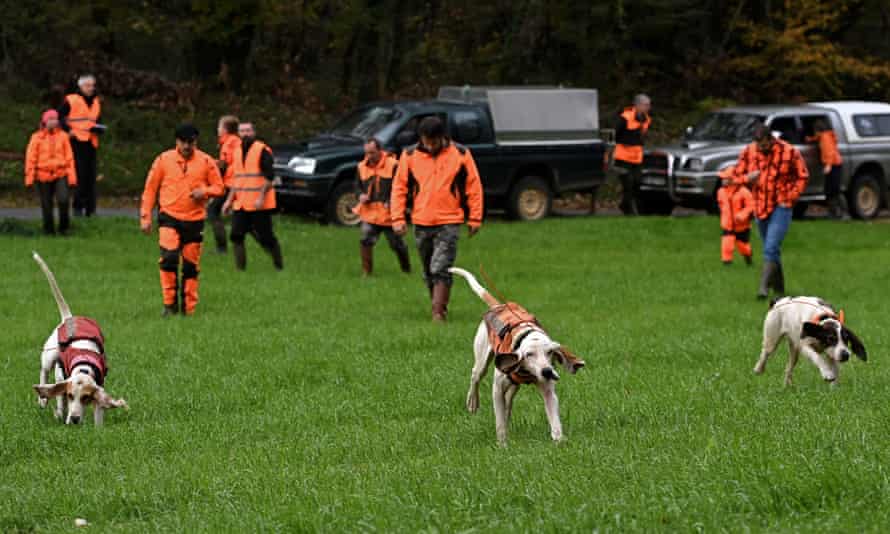Des chasseurs partent avec leurs chiens sur la piste des sangliers à Montamel, dans le sud-ouest de la France