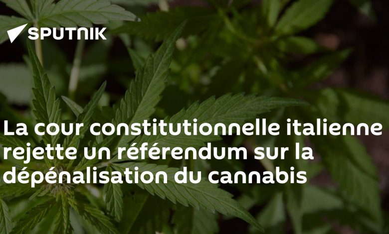 The cour constitutionnelle italienne rejette a référendum on the dépénalisation du cannabis › Geeky News 2 The cour constitutionnelle italienne rejette a référendum on the dépénalisation du cannabis › Geeky News - 1