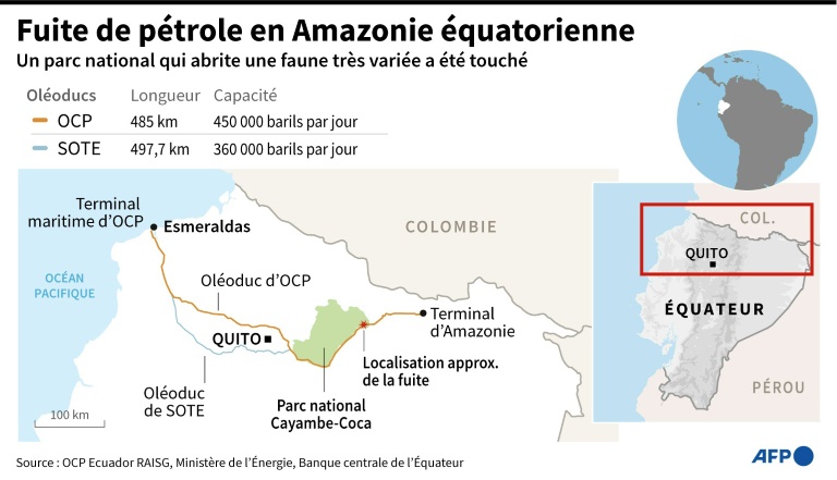 en Amazonie équatorienne, l’éternelle malédiction du pétrole – Sciences et Avenir › Geeky News 2 en Amazonie équatorienne, l’éternelle malédiction du pétrole – Sciences et Avenir › Geeky News - 1