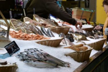 quelles espèces de poissons faut-il éviter de consumer? – Sciences and Future › Geeky News - 9
