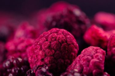 Comment fonctionne la lyophilisation ? - 9