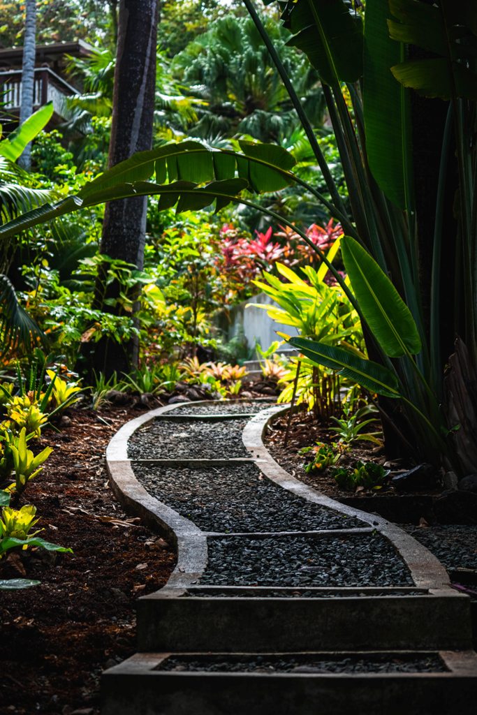 Étapes essentielles pour le jardinier débutant 5 Un espace tranquille Comment transformer votre jardin en une évasion cachée