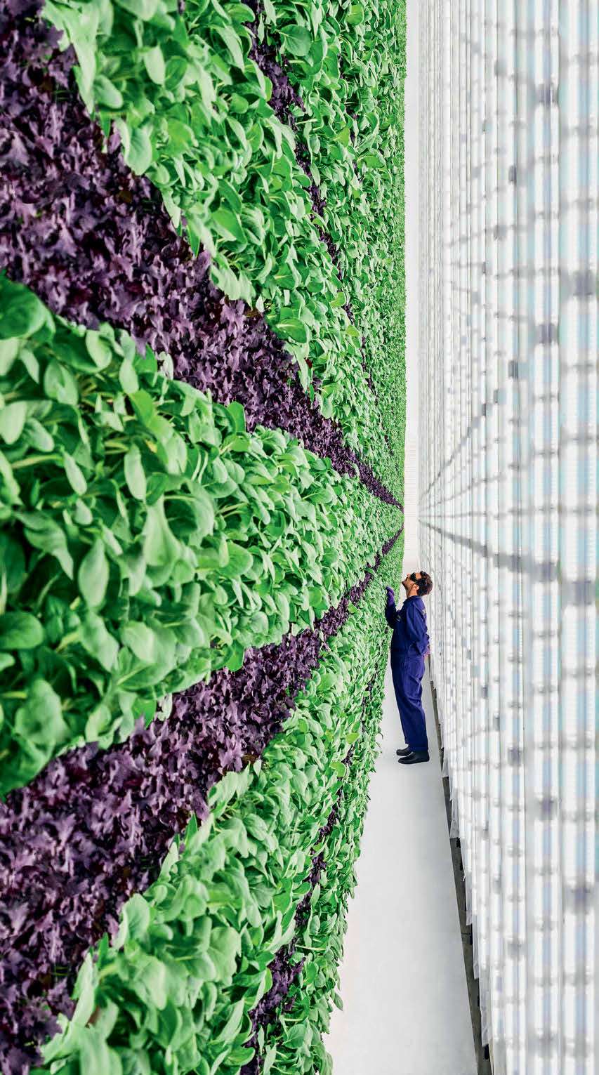 les défis de l'agriculture extraterrestre – Sciences et Avenir › Geeky News 3 28443_1668814_k6_k1_3841687.jpg