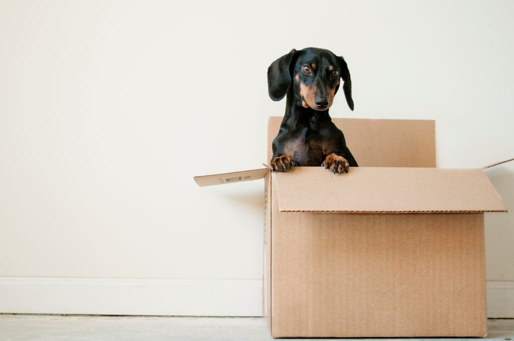 Déménager des meubles dans un petit appartement 8 Pourquoi avez-vous besoin d'un déménagement et d'un stockage commerciaux ?