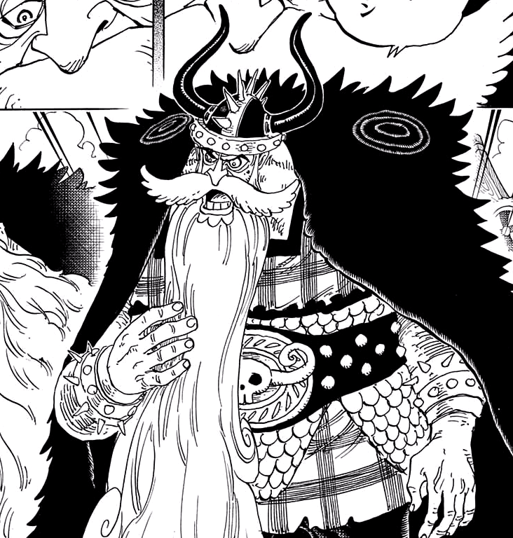 Top 15 des personnages One Piece les plus anciens (actuellement vivants) 14 Jorul