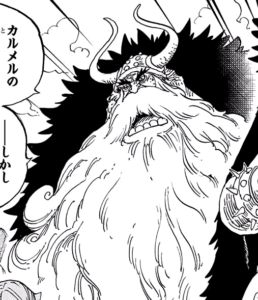 Top 15 des personnages One Piece les plus anciens (actuellement vivants) 15 Jarul
