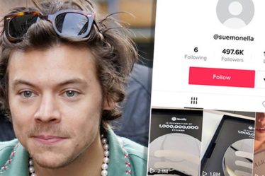 Les fans de Harry Styles pensent avoir découvert son compte secret TikTok - 8