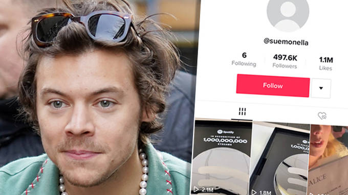Les fans de Harry Styles pensent avoir découvert son compte secret TikTok 2 Les fans de Harry Styles pensent avoir découvert son compte secret TikTok - 1
