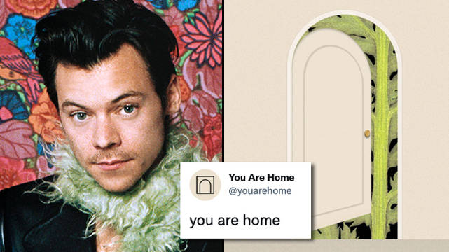 Harry Styles You Are Home : Tous les indices HS3 expliqués - 1