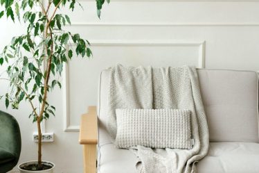 Améliorations de votre domicile, bricolage vs projets à laisser aux pros - 8
