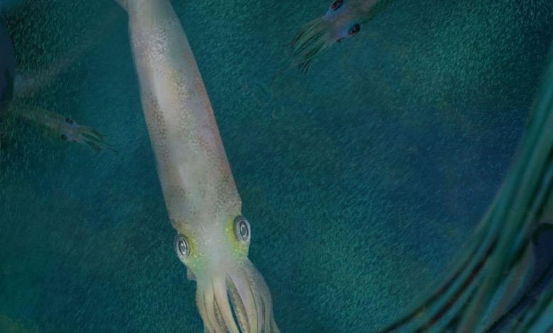 Découvrez le plus ancien fossile de vampire – Sciences et Avenir › News Geek 2 Découvrez le plus ancien fossile de vampire – Sciences et Avenir › News Geek - 1