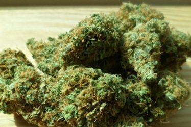Douanes – Les saisies de stupéfiants ont increased by 15.1% – Epinal infos › Geeky News - 3