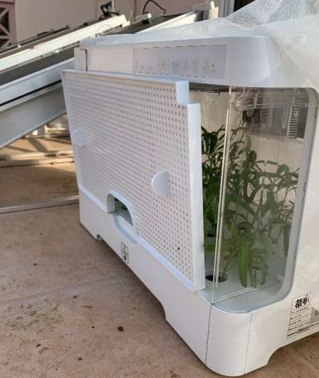 Faire pousser des plants dans le désert tout en produisant de l’électricité, c’est possible avec ce système solaire innovant › Geeky News 6 Faire pousser des plants dans le désert tout en produisant de l’électricité, c’est possible avec ce système solaire innovant › Geeky News - 5