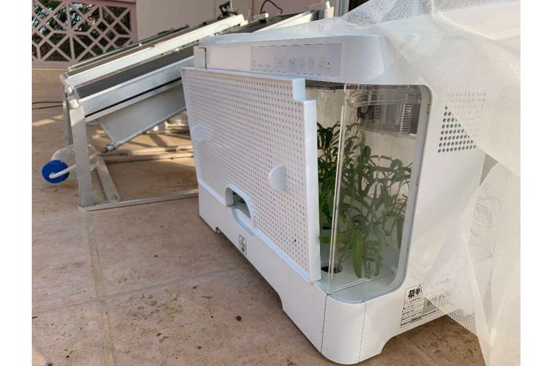 Faire pousser des plants dans le désert tout en produisant de l’électricité, c’est possible avec ce système solaire innovant › Geeky News - 1