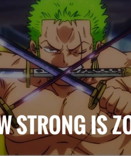 Quelle est la force de Zoro (In Wano Arc) | One Piece 18 Quelle est la force de Zoro (In Wano Arc) | One Piece - 17