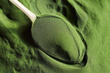 4 types d'algues comestibles avec un potentiel de superaliment - 26