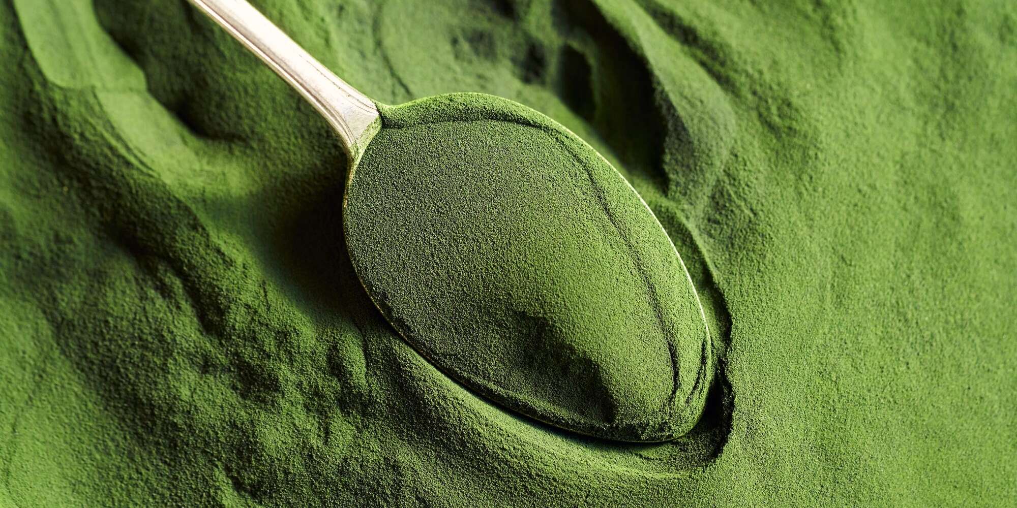 4 types d'algues comestibles avec un potentiel de superaliment - 1