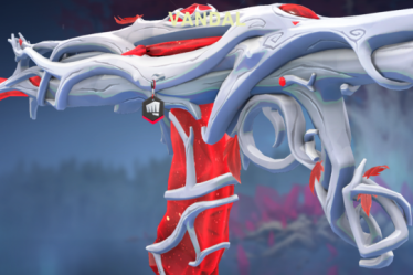 Comment obtenir le compagnon d'armes Riot dans VALORANT - 9