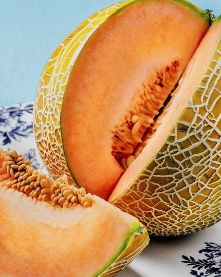 4 bienfaits pour la santé de manger du cantaloup 62 4 bienfaits pour la santé de manger du cantaloup - 61
