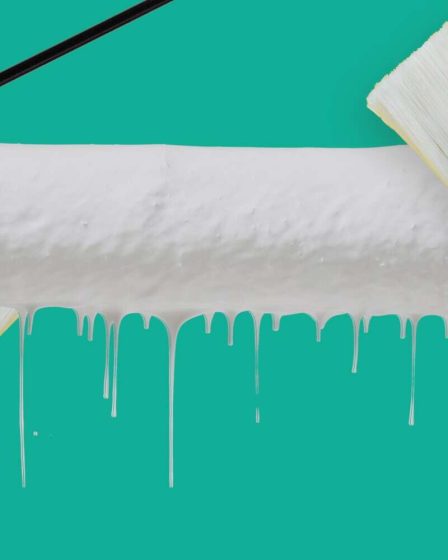 Comment nettoyer les pinceaux et les rouleaux de peinture en toute simplicité 45 Comment nettoyer les pinceaux et les rouleaux de peinture en toute simplicité - 44