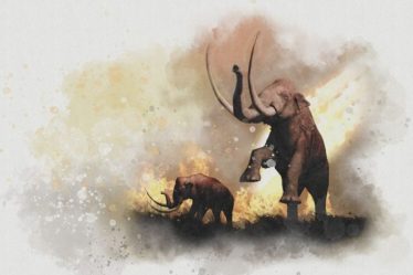 le retour des espèces disparues ? – Sciences and Future › Geeky News - 4