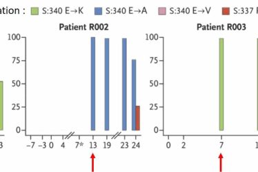 le traitement par Sotrovimab induirait une mutation rendant le virus résistant au medically › Geeky News - 3