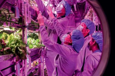 les défis de l'agriculture extraterrestre – Sciences et Avenir › Geeky News - 11