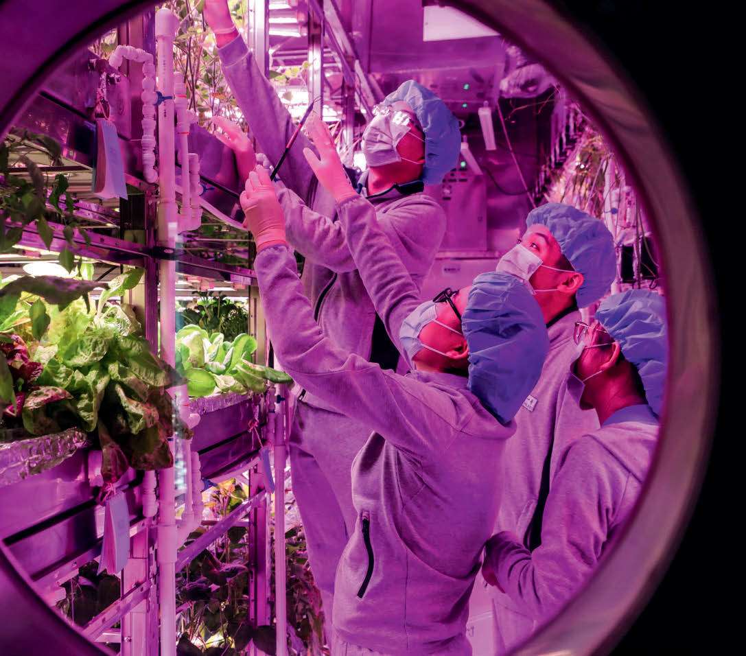 les défis de l'agriculture extraterrestre – Sciences et Avenir › Geeky News 2 les défis de l'agriculture extraterrestre – Sciences et Avenir › Geeky News - 1