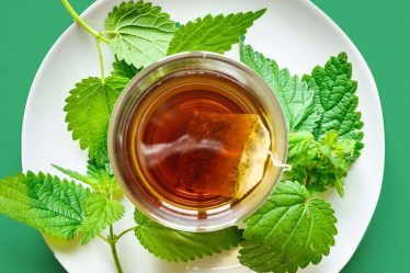 Le thé aux orties est un remède à base de plantes séculaire - voici ses 4 principaux avantages pour la santé (et comment le préparer à la maison) - 32